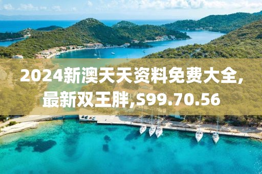 2024新澳天天資料免費大全,最新雙王胖,S99.70.56