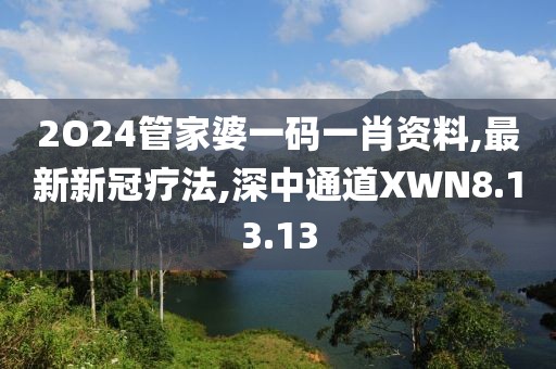2O24管家婆一碼一肖資料,最新新冠療法,深中通道XWN8.13.13