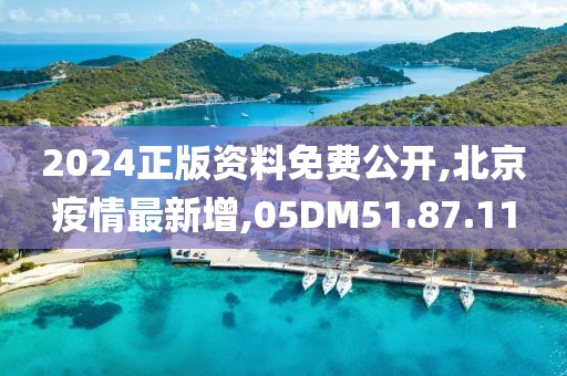 2024正版資料免費公開,北京疫情最新增,05DM51.87.11