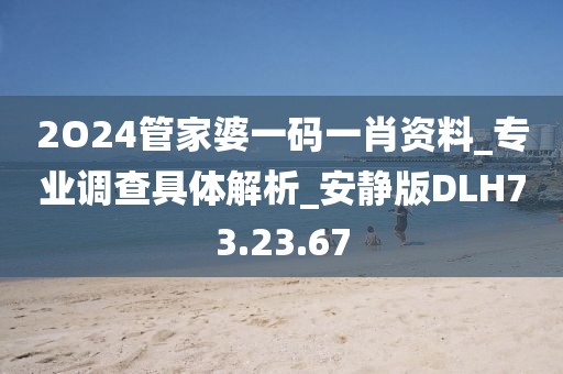2O24管家婆一碼一肖資料_專業調查具體解析_安靜版DLH73.23.67