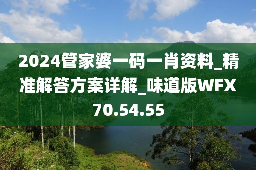 2024管家婆一碼一肖資料_精準解答方案詳解_味道版WFX70.54.55