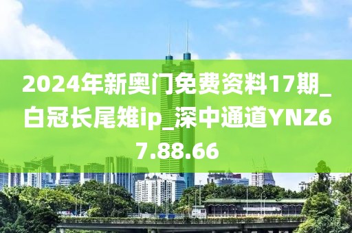 2024年新奧門免費資料17期_白冠長尾雉ip_深中通道YNZ67.88.66