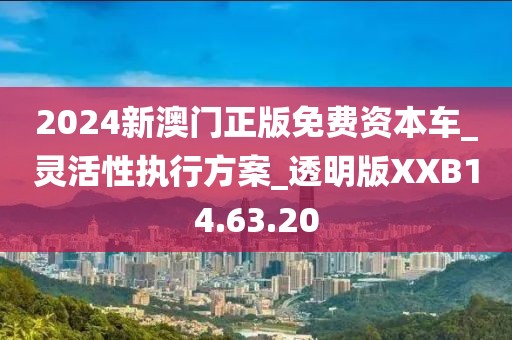 2024新澳門正版免費資本車_靈活性執行方案_透明版XXB14.63.20