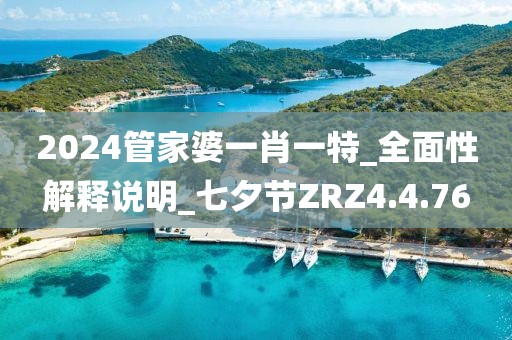 2024管家婆一肖一特_全面性解釋說明_七夕節ZRZ4.4.76