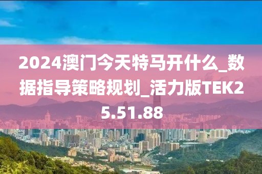 2024澳門今天特馬開什么_數據指導策略規劃_活力版TEK25.51.88