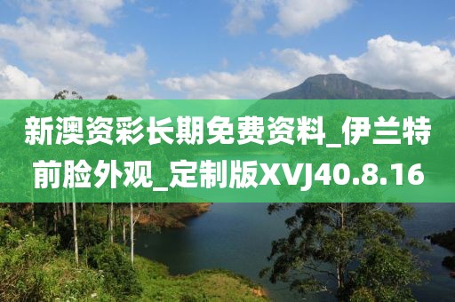 新澳資彩長期免費資料_伊蘭特前臉外觀_定制版XVJ40.8.16