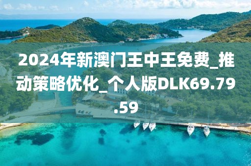 2024年新澳門王中王免費_推動策略優化_個人版DLK69.79.59