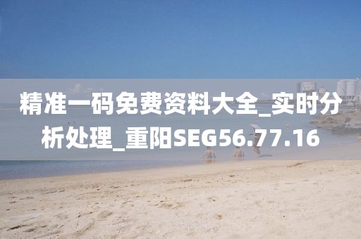 精準一碼免費資料大全_實時分析處理_重陽SEG56.77.16