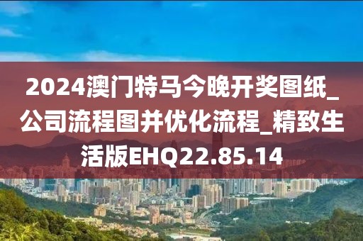 2024澳門特馬今晚開獎圖紙_公司流程圖并優化流程_精致生活版EHQ22.85.14