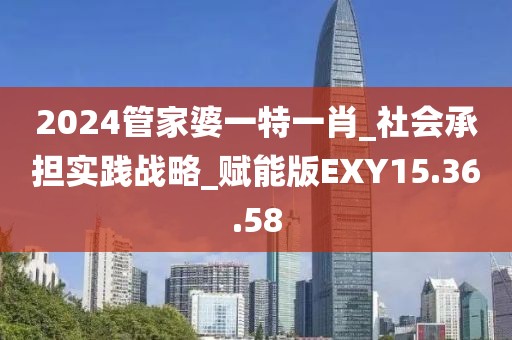 2024管家婆一特一肖_社會承擔實踐戰略_賦能版EXY15.36.58