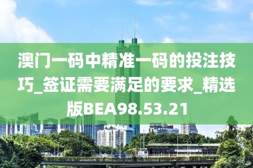 澳門一碼中精準一碼的投注技巧_簽證需要滿足的要求_精選版BEA98.53.21