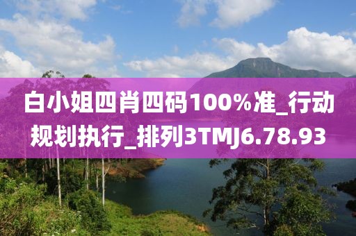 白小姐四肖四碼100%準_行動規劃執行_排列3TMJ6.78.93