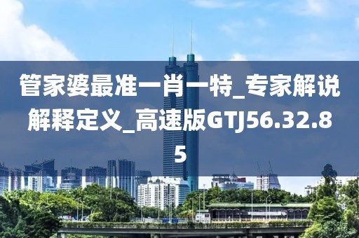 管家婆最準一肖一特_專家解說解釋定義_高速版GTJ56.32.85