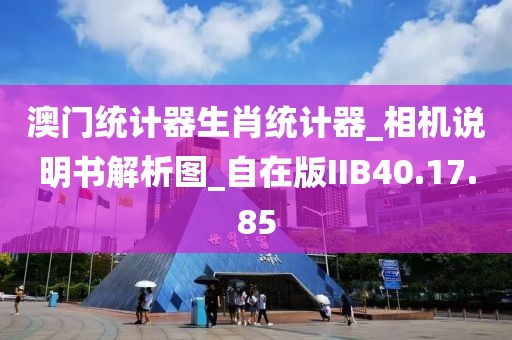 澳門統計器生肖統計器_相機說明書解析圖_自在版IIB40.17.85