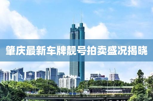 肇慶最新車牌靚號拍賣盛況揭曉