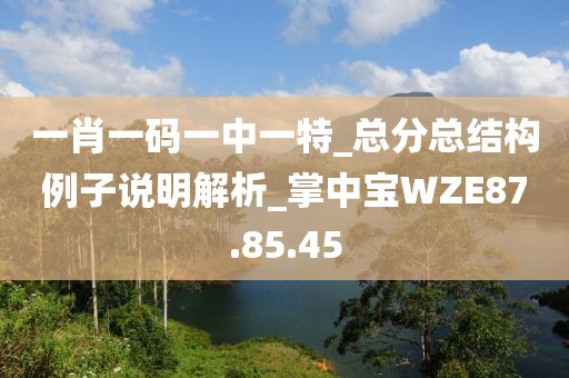 一肖一碼一中一特_總分總結構例子說明解析_掌中寶WZE87.85.45