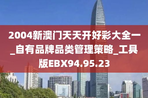 2004新澳門天天開好彩大全一_自有品牌品類管理策略_工具版EBX94.95.23