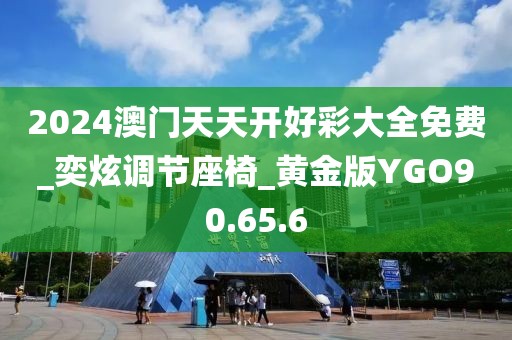 2024澳門天天開好彩大全免費_奕炫調節座椅_黃金版YGO90.65.6