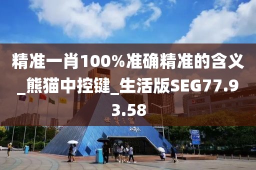 精準一肖100%準確精準的含義_熊貓中控鍵_生活版SEG77.93.58
