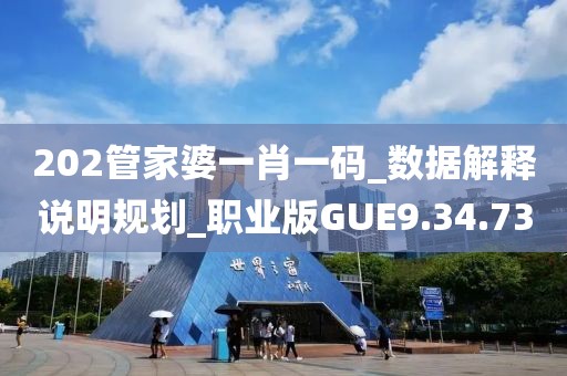 202管家婆一肖一碼_數據解釋說明規劃_職業版GUE9.34.73