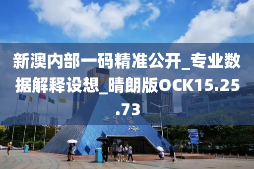 新澳內部一碼精準公開_專業數據解釋設想_晴朗版OCK15.25.73