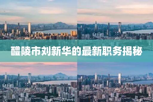 醴陵市劉新華的最新職務揭秘