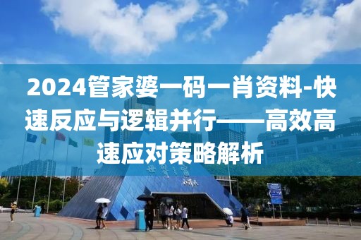 2024管家婆一碼一肖資料-快速反應與邏輯并行——高效高速應對策略解析