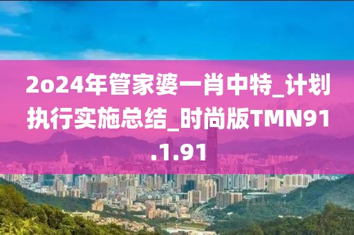 2o24年管家婆一肖中特_計劃執行實施總結_時尚版TMN91.1.91
