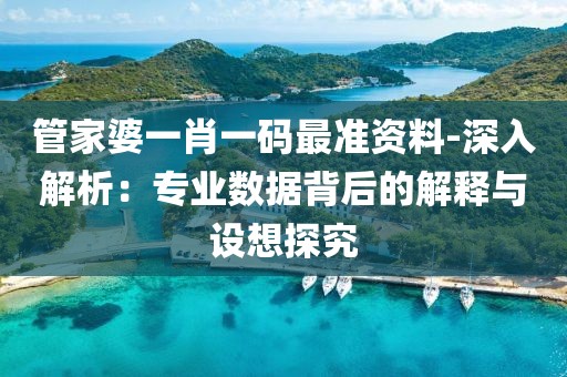 管家婆一肖一碼最準資料-深入解析：專業數據背后的解釋與設想探究