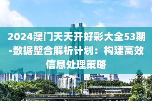 2024澳門天天開好彩大全53期-數據整合解析計劃：構建高效信息處理策略