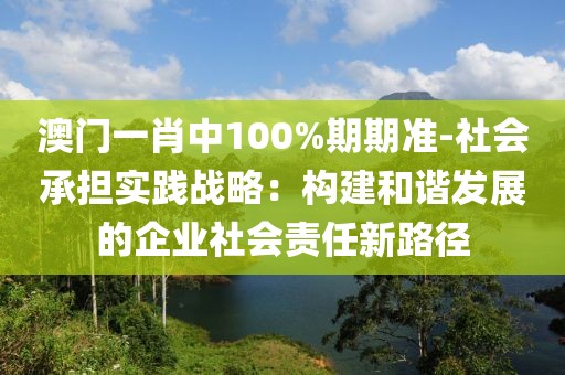 澳門一肖中100%期期準-社會承擔實踐戰略：構建和諧發展的企業社會責任新路徑