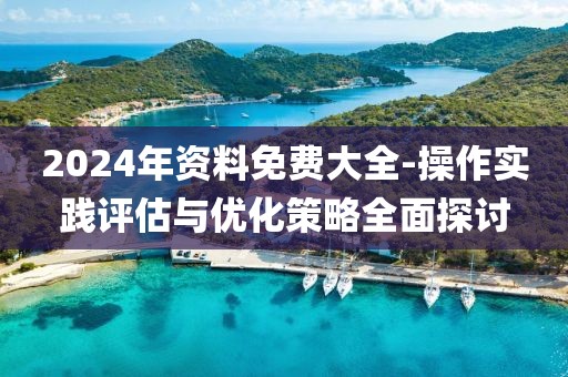 2024年資料免費大全-操作實踐評估與優化策略全面探討