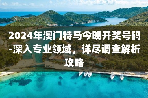 2024年澳門特馬今晚開獎號碼-深入專業領域，詳盡調查解析攻略