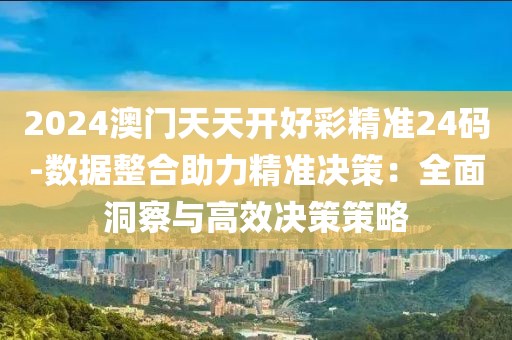 2024澳門天天開好彩精準24碼-數據整合助力精準決策：全面洞察與高效決策策略