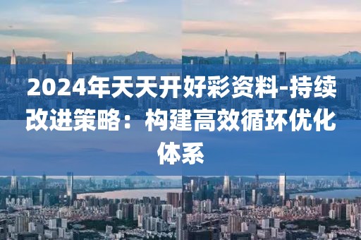 2024年天天開好彩資料-持續改進策略：構建高效循環優化體系