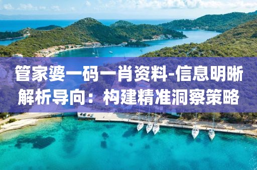 管家婆一碼一肖資料-信息明晰解析導向：構建精準洞察策略