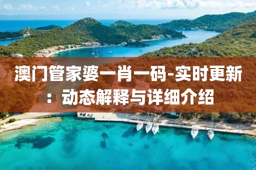 澳門管家婆一肖一碼-實時更新：動態解釋與詳細介紹