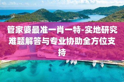 管家婆最準一肖一特-實地研究難題解答與專業協助全方位支持