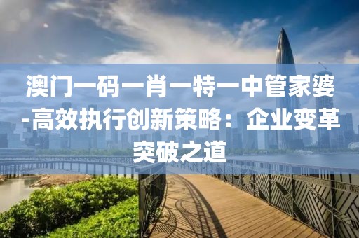 澳門一碼一肖一特一中管家婆-高效執行創新策略：企業變革突破之道
