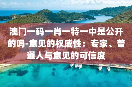 澳門一碼一肖一特一中是公開的嗎-意見的權威性：專家、普通人與意見的可信度