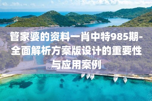 管家婆的資料一肖中特985期-全面解析方案版設計的重要性與應用案例