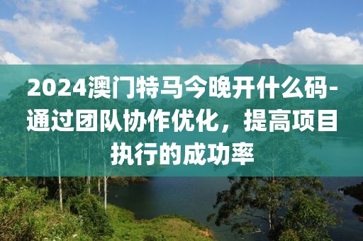 2024澳門特馬今晚開什么碼-通過團隊協作優化，提高項目執行的成功率