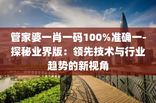 管家婆一肖一碼100%準確一-探秘業界版：領先技術與行業趨勢的新視角