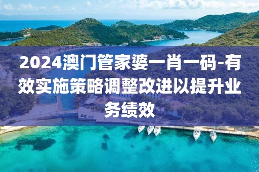 2024澳門管家婆一肖一碼-有效實施策略調整改進以提升業務績效