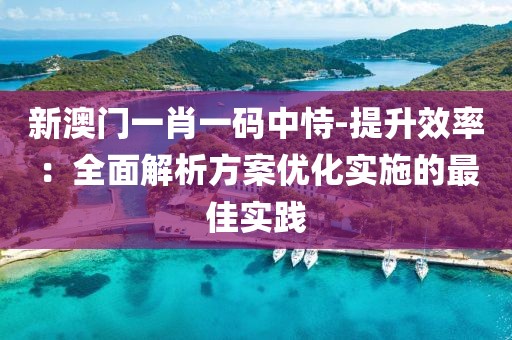 新澳門一肖一碼中恃-提升效率：全面解析方案優化實施的最佳實踐