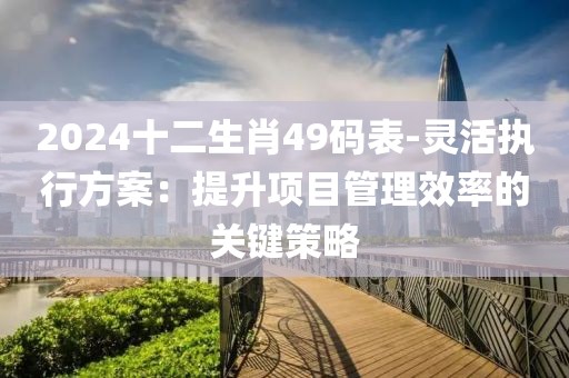 2024十二生肖49碼表-靈活執行方案：提升項目管理效率的關鍵策略
