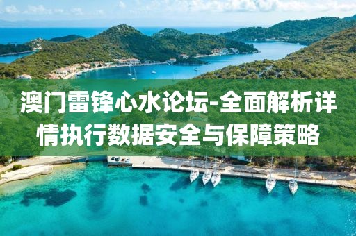 澳門雷鋒心水論壇-全面解析詳情執行數據安全與保障策略
