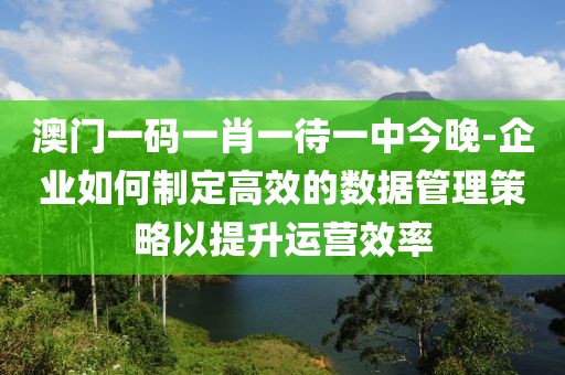 澳門一碼一肖一待一中今晚-企業如何制定高效的數據管理策略以提升運營效率