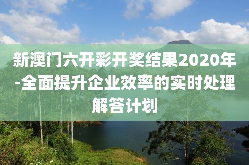 新澳門六開彩開獎結果2020年-全面提升企業效率的實時處理解答計劃