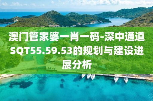 澳門管家婆一肖一碼-深中通道SQT55.59.53的規劃與建設進展分析